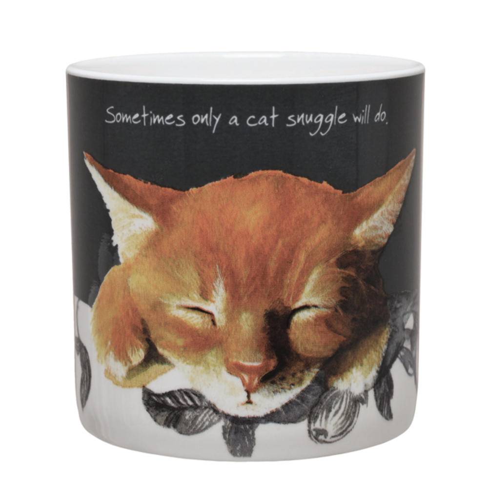 Ginger Cat Snuggles Little Dog Laughed Mug In Gift Box Gifts